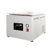 Упаковщик вакуумный Apach AVM308L NEW