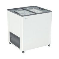 Ларь морозильный Frostor  F 215 С прямое стекло серый (пропан) Ларь морозильный Frostor  F 215 С прямое стекло серый (пропан)