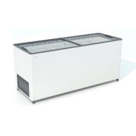 Ларь морозильный Frostor F 600 С прямое стекло серый (пропан) Ларь морозильный Frostor F 600 С прямое стекло серый (пропан)