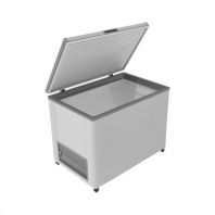 Ларь морозильный Frostor F 350 S белый (серая рамка) STANDART (пропан) Ларь морозильный Frostor F 350 S белый (серая рамка) STANDART (пропан)